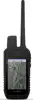 Garmin Alpha 200