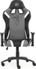 BIT FORCE gaming stolica DIABLO L-2D crno/sivo/bijela