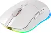CHERRY XTRFY M50 White Wireless Mouse