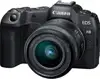 Canon EOS R8 + RF 24-50MM F4.5-6.3 IS STM