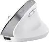 Trust Bayo+ mouse Office Right-hand RF Wireless + Bluetooth Optical 2400 DPI